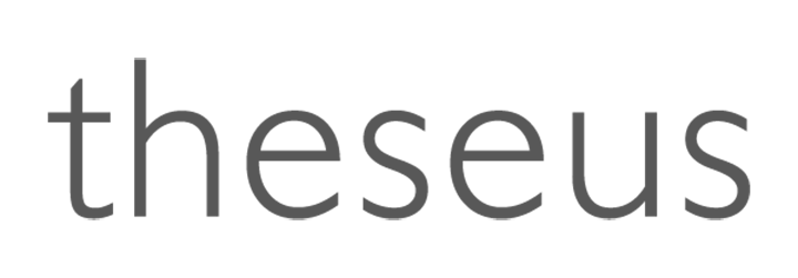 Theseus case management system